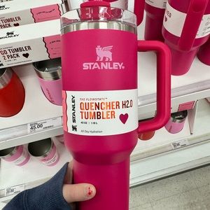 Cosmo Pink Stanley from Target Limited Edition